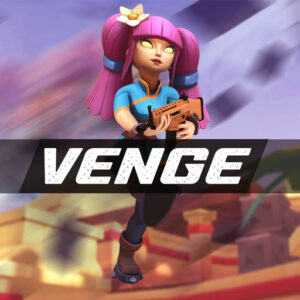 Read more about the article VENGE